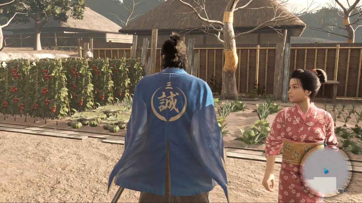 like-a-dragon-ishin-another-life-5